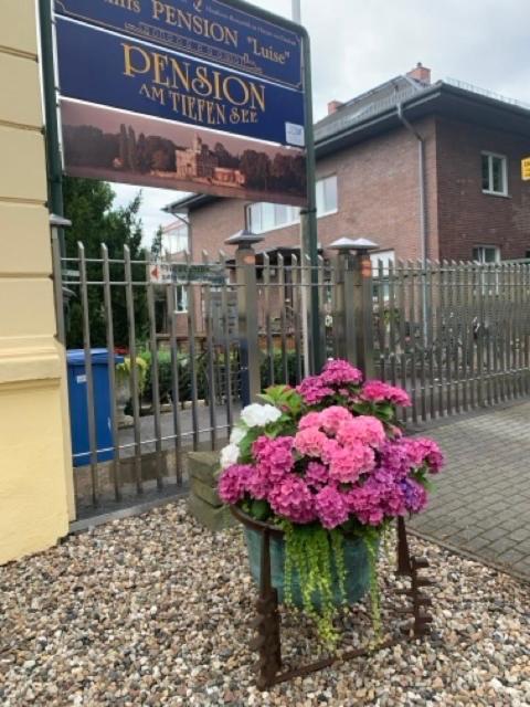 Am Tiefen Potsdam