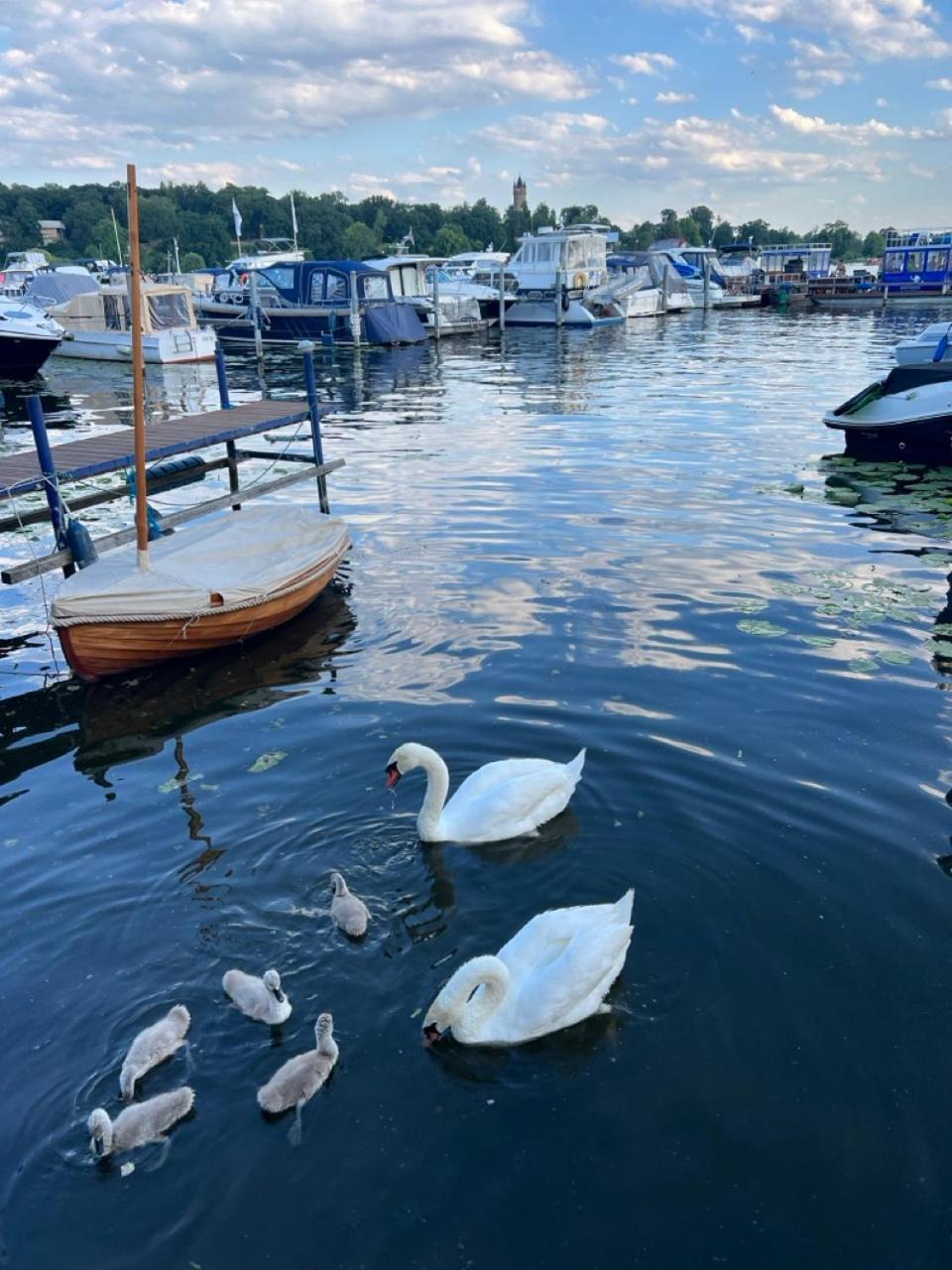 Am Tiefen Potsdam