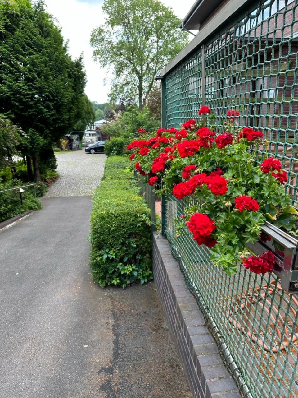 Am Tiefen Guest house 3*